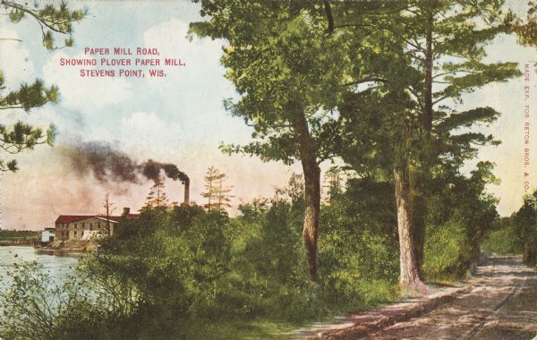 Text on front reads: "Paper Mill Road, Showing Plover Paper Mill, Stevens Point, Wis." View of an unpaved road leading to a paper mill on the Wisconsin River. The mill is along the shoreline on the left, with the road and trees in the foreground.