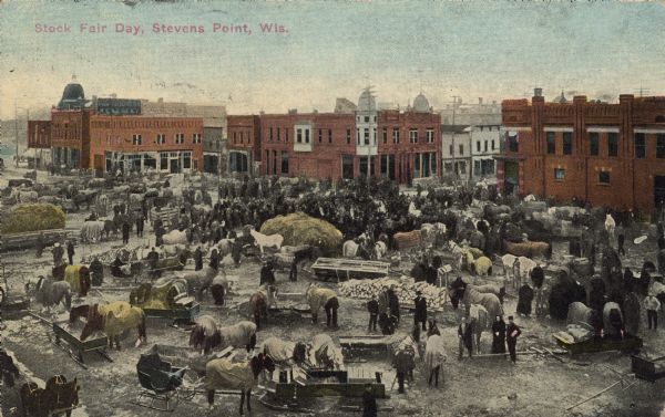 Text on front reads: "Stock Fair Day, Stevens Point, Wis." Elevated view of eople, horse-drawn sleds, piles of hay and wood fill the square for Stock Fair Day. There is snow on the ground and most of the horses are blanketed against the cold.