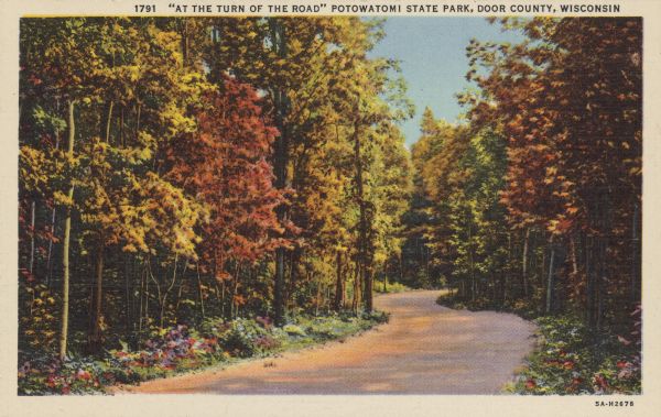 Text on front reads: "'At the Turn of the Road' Potowatomi State Park, Door County, Wisconsin." Scene of autumn color on the road leading into Potowatomi State Park.