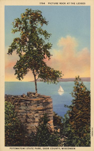 Text on front reads: "Picture Rock at the Ledges, Potowatomi State Park, Door County, Wisconsin." A sailboat on Sturgeon Bay seen between a rock formation and a tree. A tree is growing on top of the formation. The far shoreline is on on horizon.