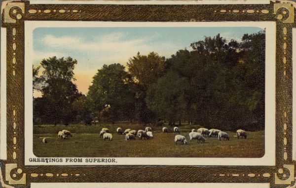 Text on front reads: "Greetings from Superior." A scene of sheep grazing in a pasture backed by trees. The postcard is positioned inside a painted wooden frame with a design.