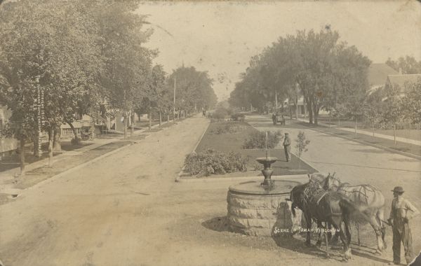 Text on front reads: "Scene in Tomah, Wisconsin." A man is standing with his team of horses at a public drinking fountain on Superior Avenue, a wide unpaved boulevard. Another man is standing in the center and more horse drawn vehicles can be seen in the street. Trees, sidewalks and homes fill the neighborhood on both sides.