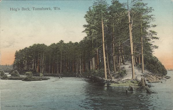 Text on front reads: "Hog's Back, Tomahawk, Wis." The Hog's Back is a tree covered peninsula on Lake Mohawksin, also the former name of Bradley Park. A man is rowing a boat on the left. Tomahawk is located on the Wisconsin River, and is bordered by Lake Mohawksin on the North and West.