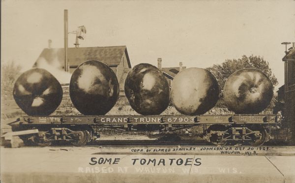 Text on front reads: "Some Tomatoes Raised at Waupun, Wis. Wis. [<i>sic</i>]." On the flatbed train car: "Grand Trunk 67903." Photomontage of five giant tomatoes on a flatbed train car. Buildings and trees are in the background.