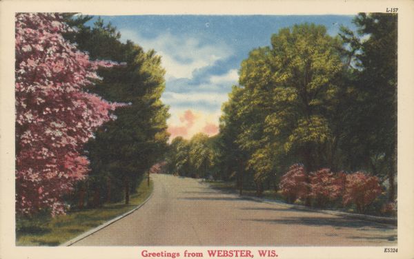 Text on front reads: "Greetings from Webster, Wis." A tree-lined rural road in northwestern Wisconsin.