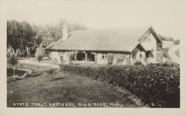Text on front reads: "State Trout Hatchery, Wild Rose, Wis." The Fish Hatchery was built in 1908. View along hedge line and lawn towards the hatchery building. There is a pond on the left and trees in the background. Text from Image ID: 100408: "The long, two-story stucco coldwater hatchery building on the grounds of the Fish Hatchery at Wild Rose. There is decorative half timbering in the gables. The grounds are well groomed, with decorative planters along the sidewalk which leads to the porch."