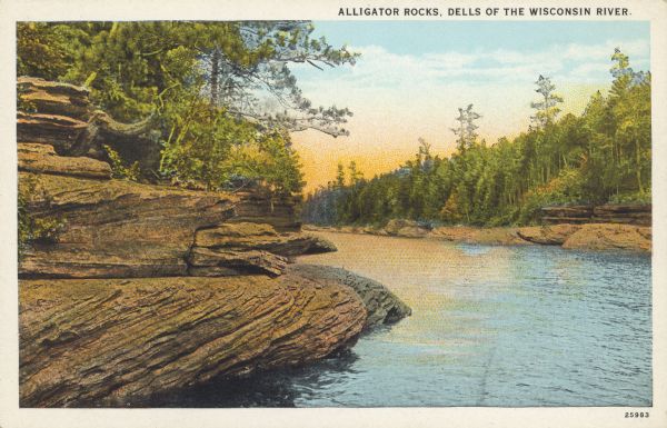 Text on front reads: "Alligator Rocks, Dells of the Wisconsin River." Rock formations that resemble alligators on the shores of the tree-lined Wisconsin River.