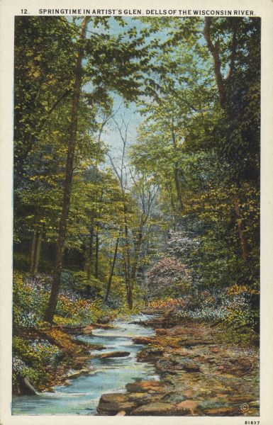 Text on front reads: "Springtime in Artist's Glen, Dells of the Wisconsin River." Trees and flowers surround a stream with a rocky bank.