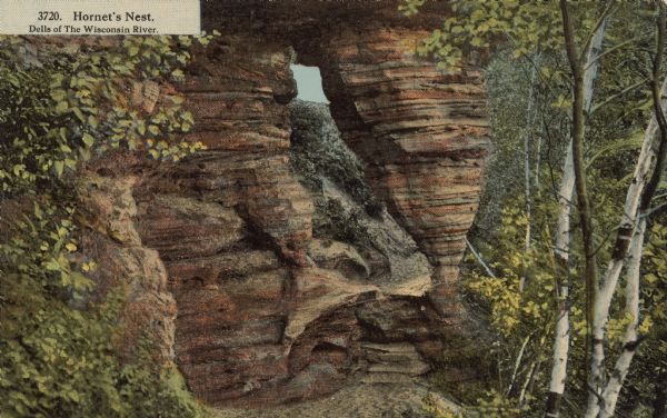 Text on front reads: "Hornet's Nest. Dells of the Wisconsin River." The rock formation "Hornet's Nest" surrounded by trees and foliage.