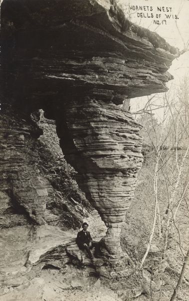 Text on front reads: "Hornets Nest. Dells of Wis." The rock formation "Hornet's Nest" surrounded by trees and foliage, with a man sitting at the base.