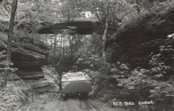 Text on front reads: "Red Bird Gorge." A water and land vehicle, called a Duck, squeezes through a narrow gorge full of trees and foliage. A bridge above spans the formations.

Ducks are amphibious vehicles used during World WII for the transportation of goods and troops over land and water. The first Original Dells Duck Tour took place in 1946.