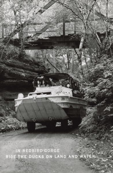 Text on front reads: "Real Photo Postcard." A group of sightseers wave to the camera as they travel under a bridge and through a tree shaded gorge in a Duck named "Dolly". The formations on both sides are covered with foliage. Ducks are amphibious vehicles used during World WII for the transportation of goods and troops over land and water. The first Original Dells Duck Tour took place in 1946.