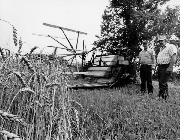 Jerry and Dale Kedinger pose in wheat field with antique grain binder.