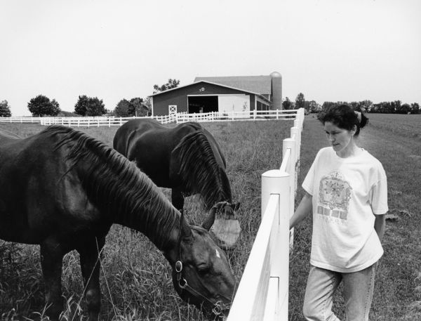 Kay Batzler tends her horses on Spring Valley Road.