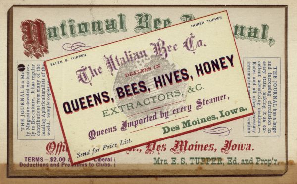 Advertisement for the Italian Bee Company. Dealers in Queens, Bees, Hives, Honey Extractors, &c. "Queens Imported by every Steamer." Des Moines, Iowa. From the <i>National Bee Journal</i>.
