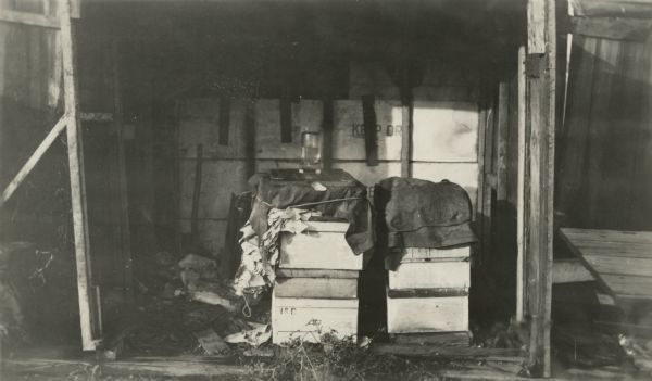 Two diseased colonies, Le Claire Case, City of Green Bay. Two beehives, separated from apiary, covered and weighted.