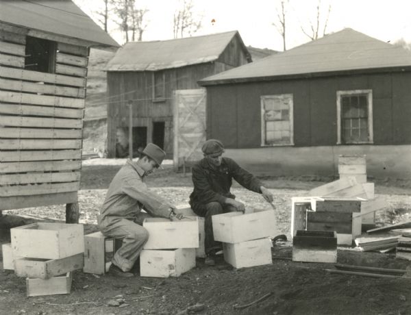 Two men scraping diseased hives.