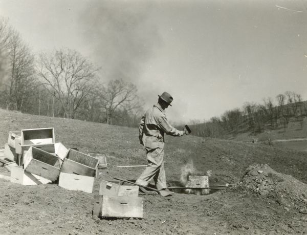 Scorching hive bodies that were infected with American Foul Brood.