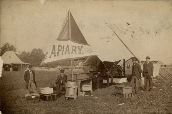 Three men and a boy standing outside a tent with a sign reading "Apiary." Beekeeping supplies, including hives and frames are displayed inside and outside of the tent. In the background is a large striped tent, a fence, and long wooden pavilions.