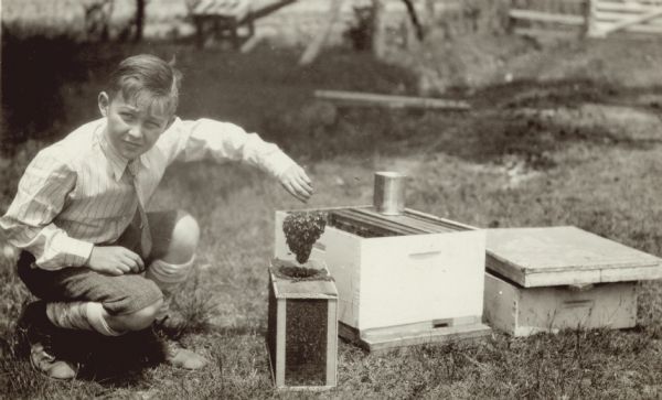 A young boy is crouching and holding a small swarm of bees over what appears to be a nucleus box. Behind him are hive boxes and frames.