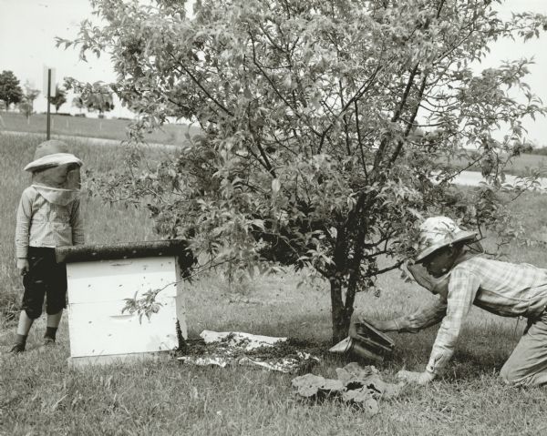 Two boys wearing hats with veils are working near a hive box near a small tree. A swarm of bees are on the ground near and on the hive box. One of the boys is using a smoker to encourage the bees to move into the hive box.