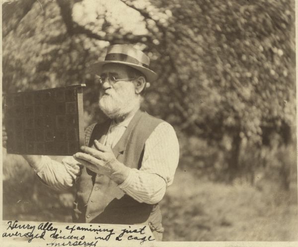 Henry Alley, examining just averaged queens in a cage nursery.