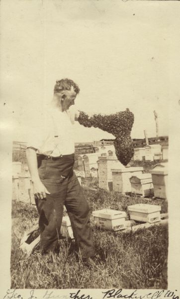 George J. Gunther standing among hives, with a swarm of bees on his arm.