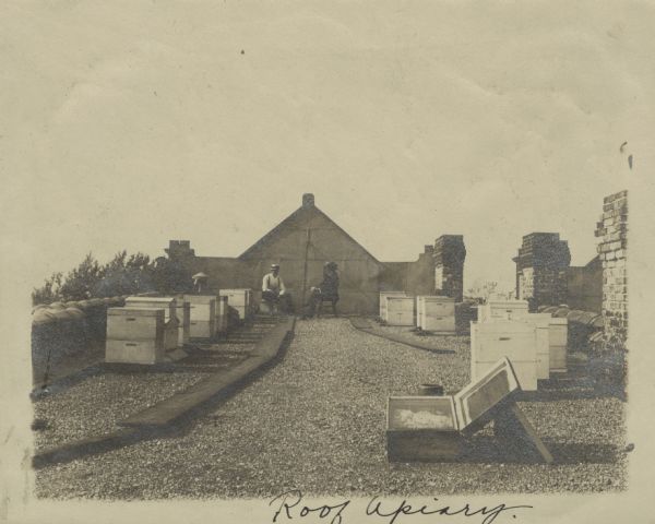 Rooftop apiary, with two men sitting in the background. There are chimneys along the roofline on the right.