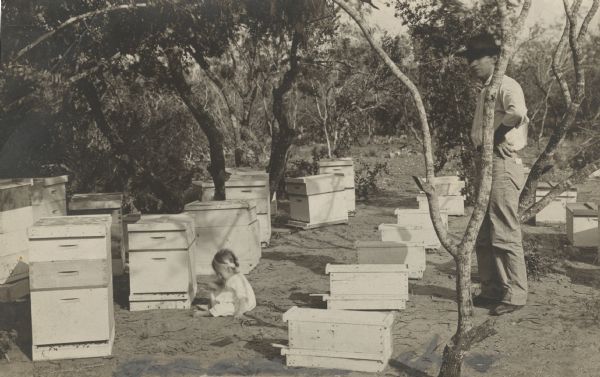 Baby seated in the apiary of M.A. Dalazer. A man is standing on the right.