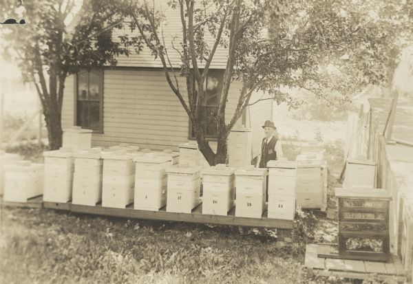 Backyard apiary consisting of a large group of numbered beehives on a platform in front of a house. Behind them is a man standing wearing a vest and hat. Writing on back reads: F.H. Stacey. There is a hive on a separate platform on the right that appears to be an observation hive, with comb and bees visible through glass.