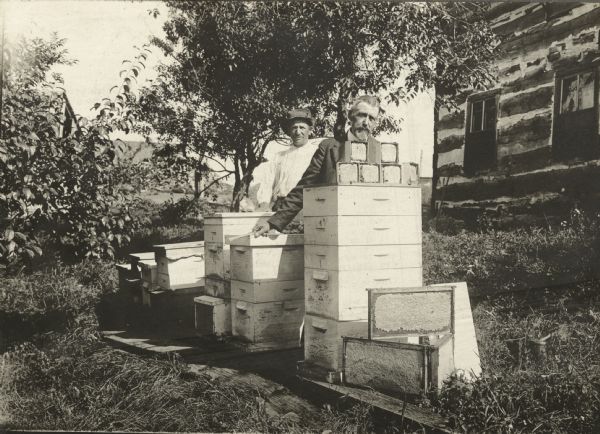 Two men standing posing outdoors behind beehives. Square honeycomb and full frames are displayed on top of hives. In the background on the right is a building with chink-log construction.