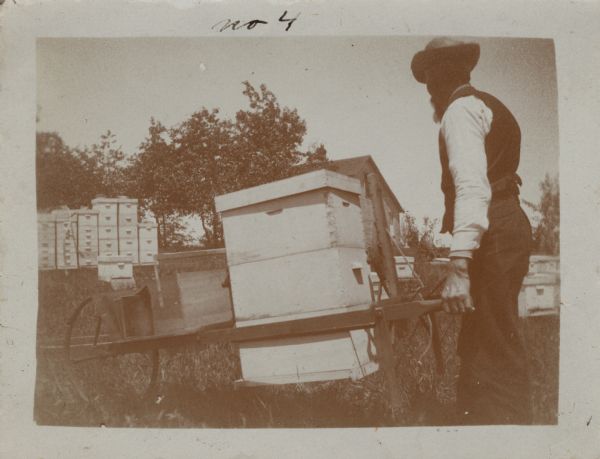 Andrew C. Brovald moving a hive with a wooden wheelbarrow. A row of beehives are on the left, and more beehives are sitting in the grass in the background. In the wheelbarrow is a hive smoker, and a wooden box that probably holds tools. Leaning on the row of beehives is what appears to be a scythe.