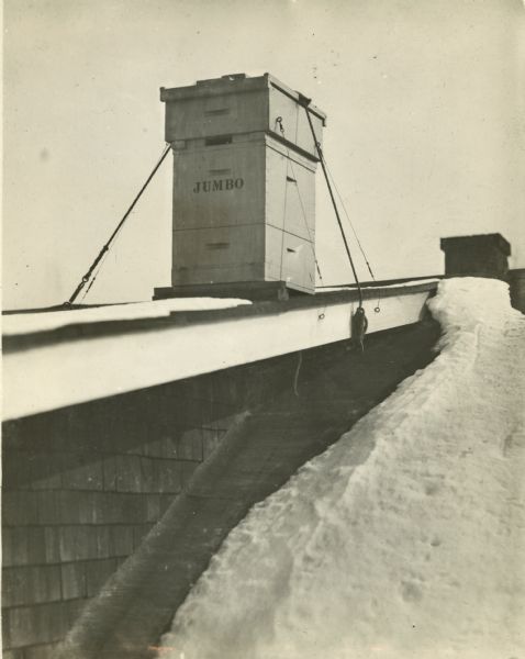 Beehive tied down onto a roof, covered in snow. Stenciled on one of the hive boxes is the word: "JUMBO." Belongs to E.W. Brown, an apiculturist from Willow Springs, Illinois.<p>Caption reads: "Mr. Brown winters a colony on the roof of his house to study bee behavior with the entrance facing the northwest winds. The house stands on a hill elevating the hive 80 feet above the long stretch of land off to the northwest. The bees are frequently inspected with a pocket flashlight. During windy snow storms the entrance sometimes fills with snow but does no harm. Inspection reveals that the bees are peacefully clustered about 3 inches from the snow."