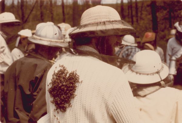 Close-up of a small swarm of bees on a man's back. He is wearing a white sweater, and a bee hat with veil. He is among a group of people, facing away from the camera, attending an outdoor beekeeping class.