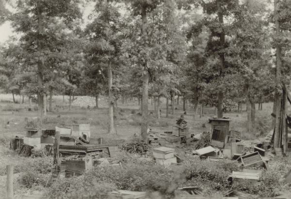 View of an apiary that has been destroyed by a bear. Trees and stumps in background. Writing on back reads: "What a bear did to Outcelt's yard."