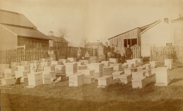 Backyard apiary of Elias Fox. Chickens are in the yard among the numbered beehives. Fox and family are posing standing in the background in front of a fence. Jars of honey and comb honey are on display on tables and barrels just behind Elias Fox. Houses and outbuildings are in the far background.