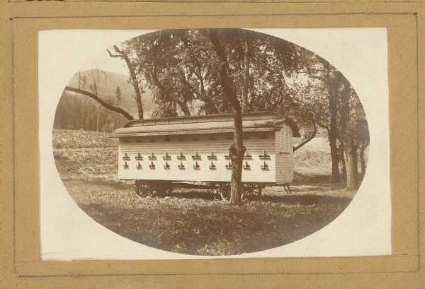 Bee house on wheels. A rectangular structure with a roof and openings along the side, sitting among trees.