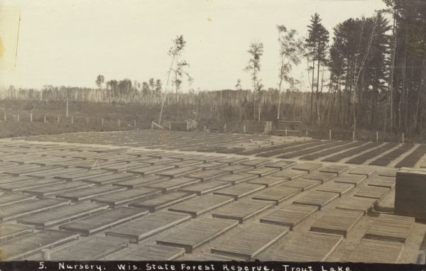 Elevated view of garden plots at the state nursery at Trout Lake. Young pines must be grown for two years in the nursery before being planted. In this photograph about 2,500,000 seedlings are growing. Caption reads: "Nursery: Wisconsin State Forest Reserve, Trout Lake."