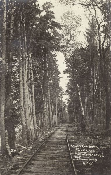 A photographic postcard mailed from Boulder Junction, Wisconsin. A railroad track is running along the bank. On either side of the track are tall trees. Caption reads: "Along the bank of Trout Lake. Rights reserved by Kingsbury Antigo."