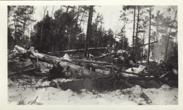 This photograph of downed trees and branches is annotated, possibly by C.L. Harrington:<p>"A fire hazard at this date Feb 28 '41. I have salvaged all or about all saw timber and got miles decked skidways. There are thousands of cedar poles, many cords of pulp and a fire hazard left."