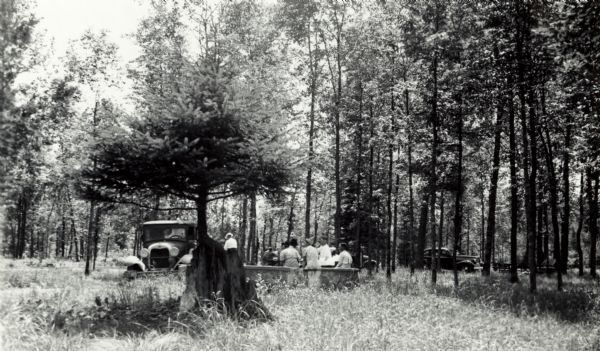 An early view of the Ojibwa Roadside Park. There are several automobiles in the background, and people sit on benches under the trees.