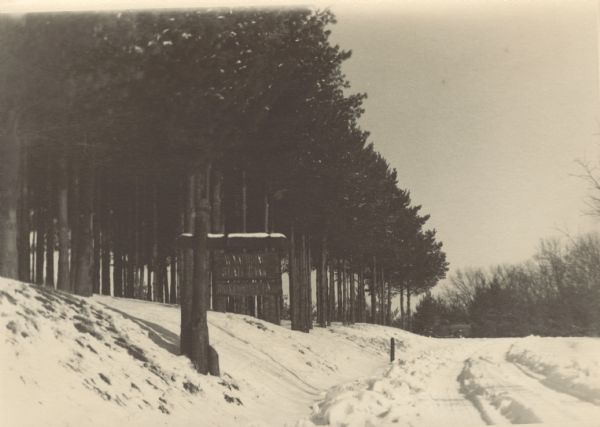View down snowy road through a forest improvement area in Wyalusing State Park. There is a truck in the background, and a sign on the left side of the road reads: "Wyalusing State Park, Drive Slowly."<p>The CCC (Civilian Conservation Corps) worked in Wyalusing State Park (formerly Nelson Dewey State Park) as project #8656 of the Works Progress Administration (WPA) from 1932 to 1935.
