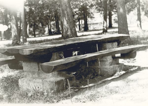 This is WPA (Works Progress Administration) project #8656 of a log and masonry picnic table built by the CCC (Civilian Conservation Corps) at Wyalusing State Park (formerly Nelson Dewey Park).