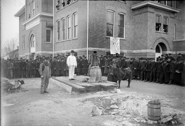 Four men pose on and around a crude wooden platform set up in front of the Winnebago County School of Agriculture and Domestic Economy. There is a barrel on the platform, which appears to be full of offal. The man on the far right is wearing an apron and stands holding one of the cattle. There are two more cows lying on the ground on the far left. A large crowd of men, women and children stand watching behind a rope.
