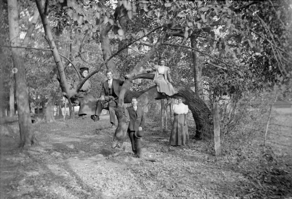 Outdoor group portrait of five young people at Lasley's Point near Lake Winneconne. Two woman and one man sit in the branches of a tree, and a man and woman stand on the ground. They are, left to right: an unidentified woman, an unidentified man, George Miller, Mary Ansorge (in tree), and Edna Hudson. The trunk of the tree is arching over a wire fence on the right, and in the far background is a building. Fallen leaves cover the ground.