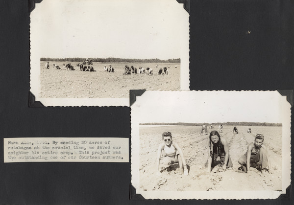 Page from Joy Camps photo album displaying two photographs. In one, a number of campers are kneeling, working in a farmer's field. A tractor and line of trees are in the distance. In the other photograph, three campers are in the foreground, kneeling in the farmer's field, with several campers behind them in the background. A distant line of trees is in the far background. Original caption notes: "Farm Aide, 1943. By weeding 30 acres of rutabagas at the crucial time, we saved our neighbor his entire crop. This project was the outstanding one of our fourteen summers."