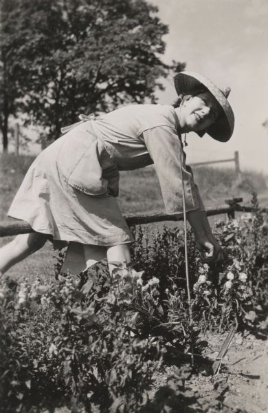 Lynn Fontanne Working in the Garden | Photograph | Wisconsin Historical ...