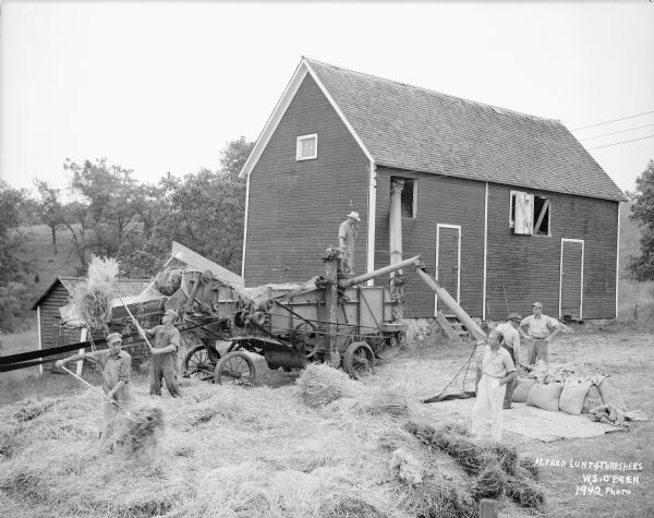 Alfred Lunt watching as farm workers pitch grain into a thresher on the Ten Chimneys farm. Two men at the end of a chute collect the separated grain in sacks on the ground. The chaff is blown into a hay barn.