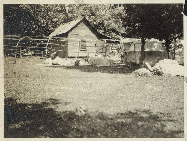 Frame of medicine lodge with canvas removed. A man or a woman is working with the canvas. The fence surrounding a dance circle is visible on the right.
