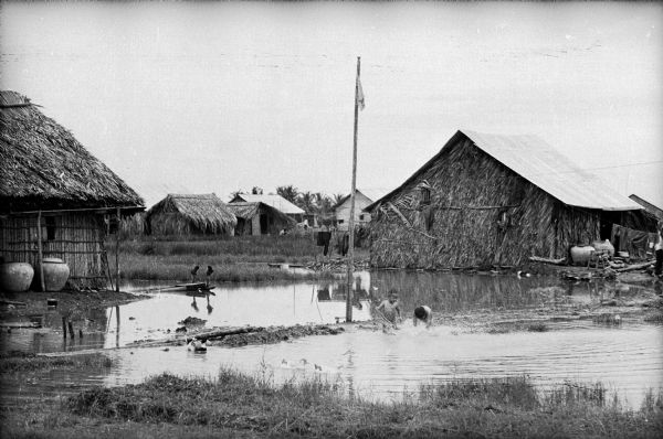 View of the village of Binh Hung, Vietnam. Two small children play in the water among several thatched-roofed houses. Ducks are swimming in the water.